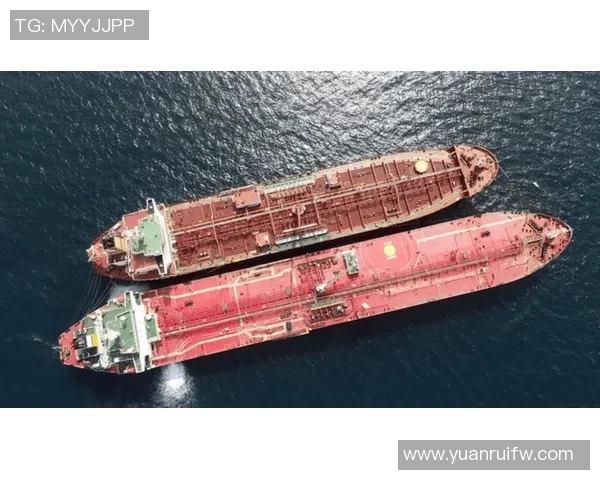 博卡青年与巴西国际海运价格查询及对比分析 博卡青年与巴西国际海运价格查询及对比分析