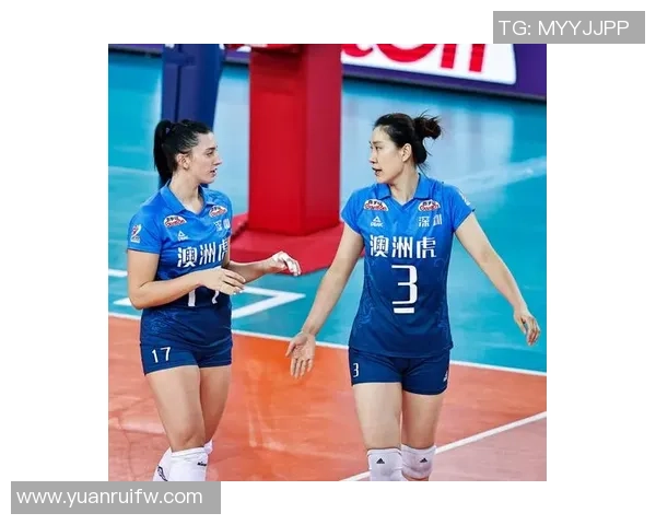 深圳排球队比赛经验对比深度剖析与启示探讨